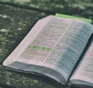 free bible commentary online