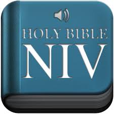 niv study bible online