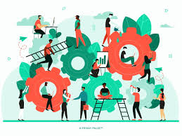 organization's