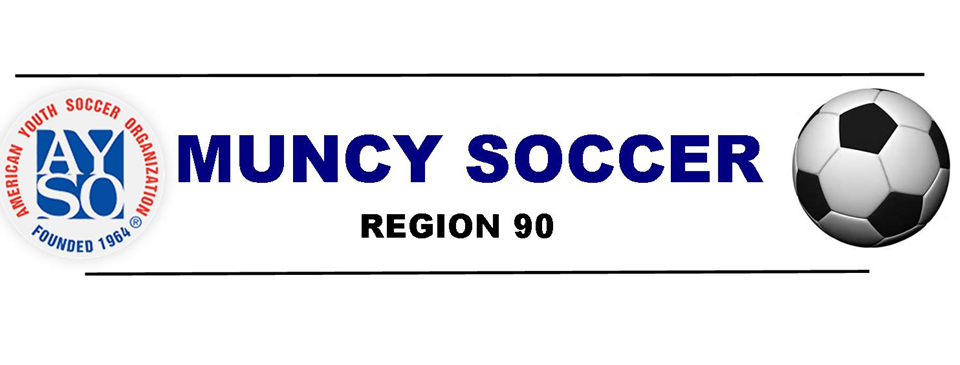american youth soccer organization